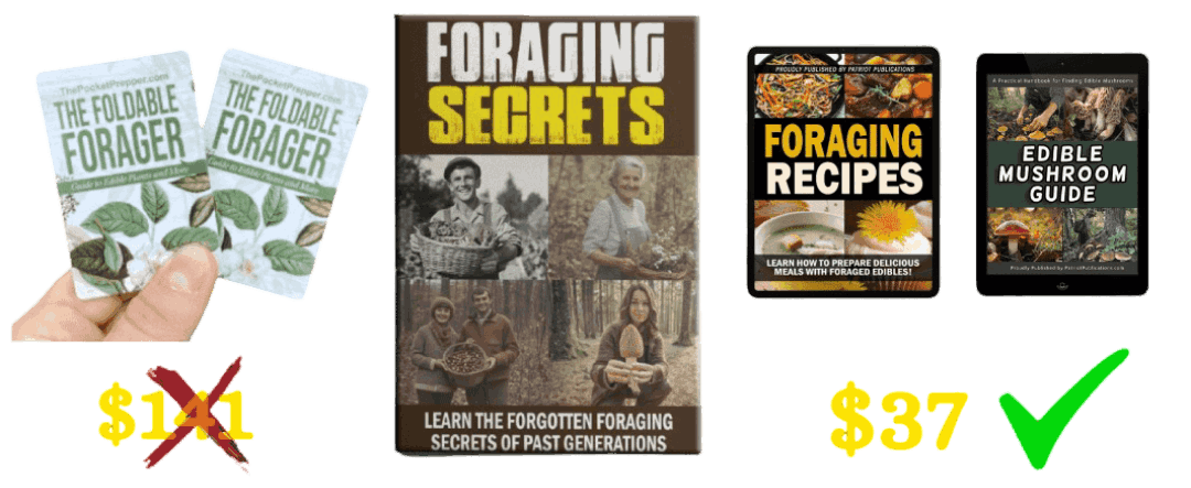 Foraging Secrets