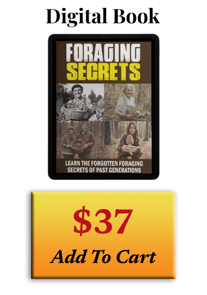 Foraging Secrets Price