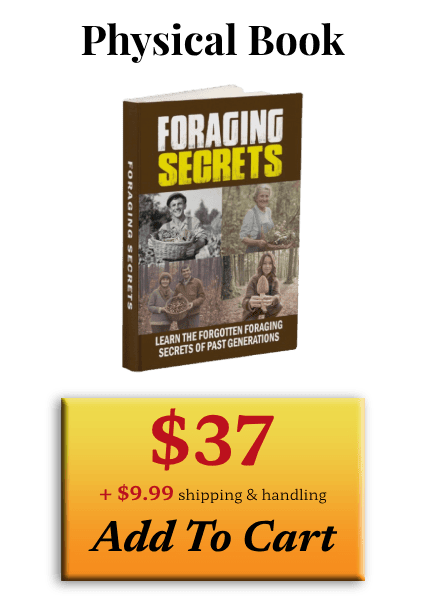 Foraging Secrets Price