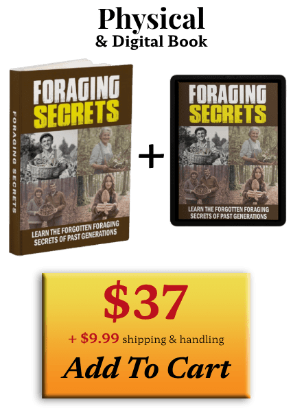 Foraging Secrets Price